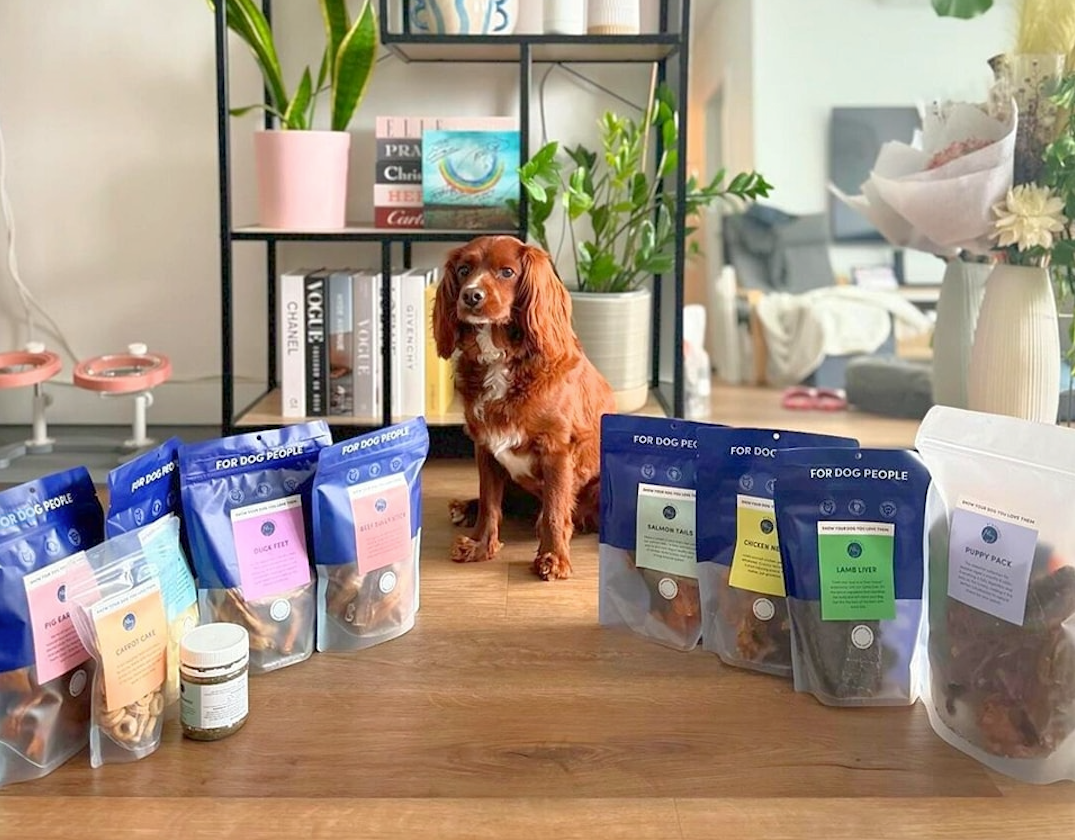 Why Single-Ingredient Dog Treats Are a Game-Changer for Sensitive Stomachs