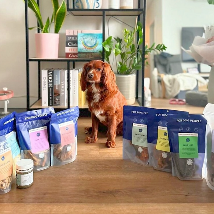 Why Single-Ingredient Dog Treats Are a Game-Changer for Sensitive Stomachs