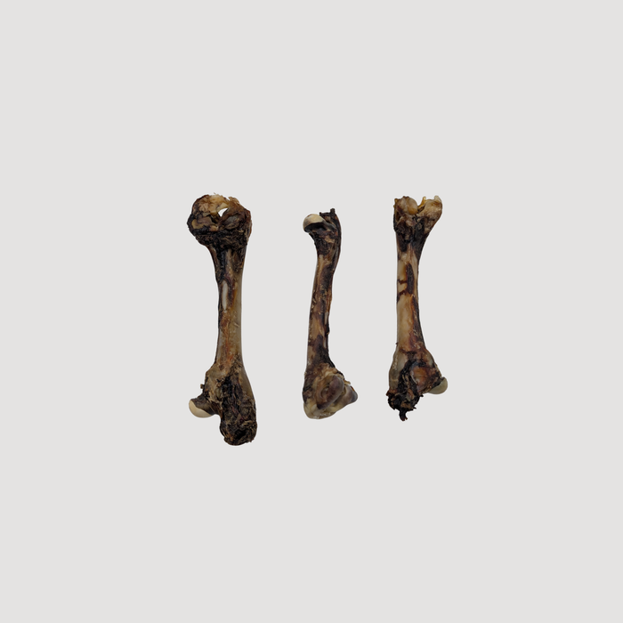 Kangaroo Shank Bone